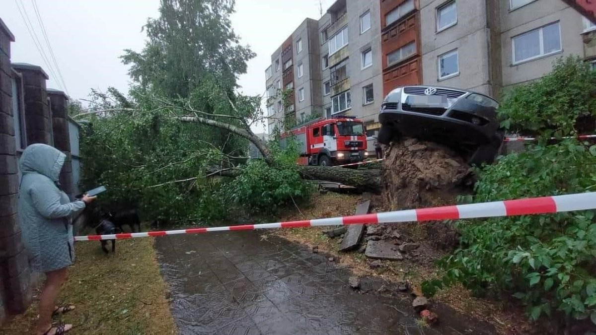 Virstančio medžio šaknys į viršų pakėlė automobilį / Orų entuziastų grupėje paskelbta Agnės Povilaitytės nuotr.