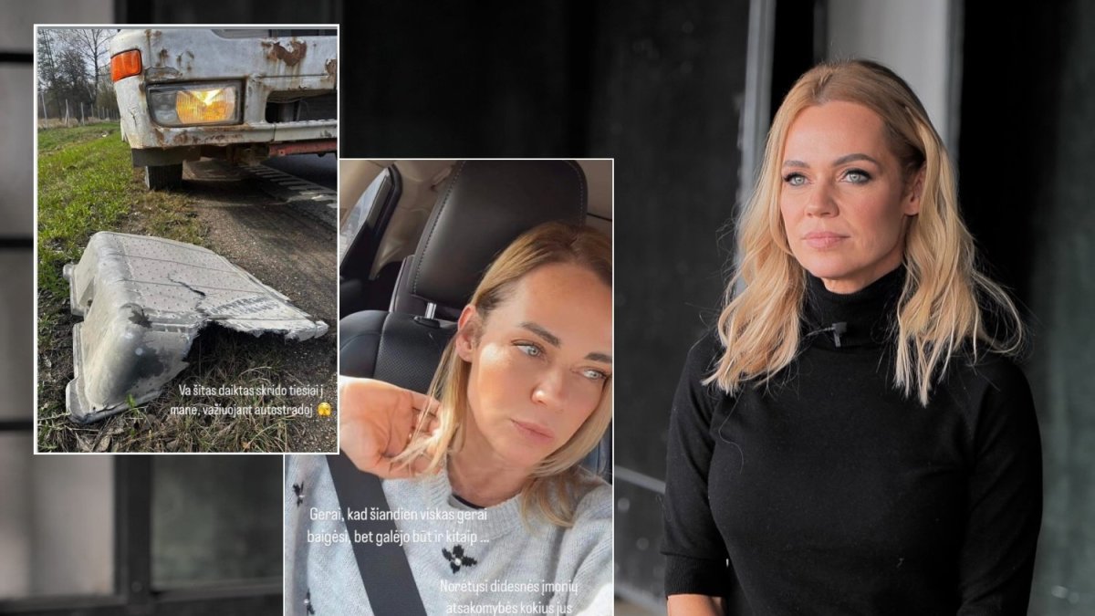 Ingrida Martinkėnaitė ir eismo įvykio akimirkos / Asmeninio albumo ir stopkadro nuotr.