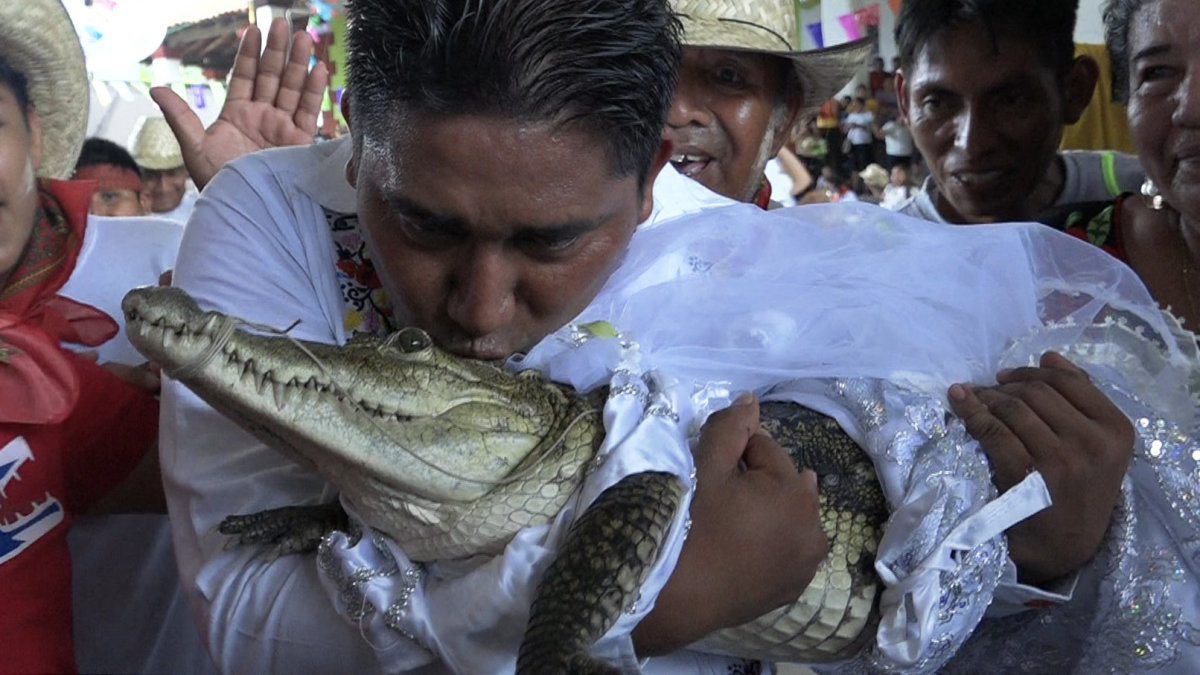 Vestuvės su krokodilu / AFP/„Scanpix“ nuotr.