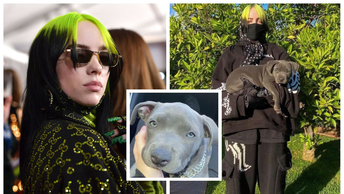 Billie Eilish su savo augintiniu / SCANPIX ir socialinių tinklų nuotr.