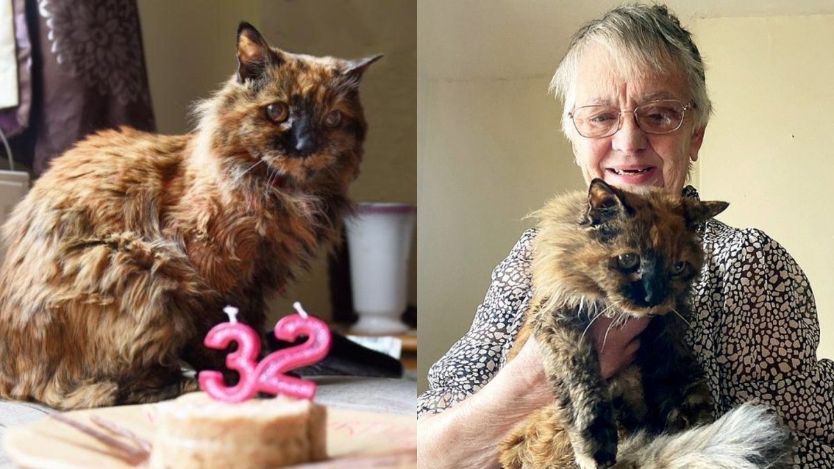 Seniausia pasaulyje katė Rosie ir jos šeimininkė Brissett / Socialinių tinklų nuotr.