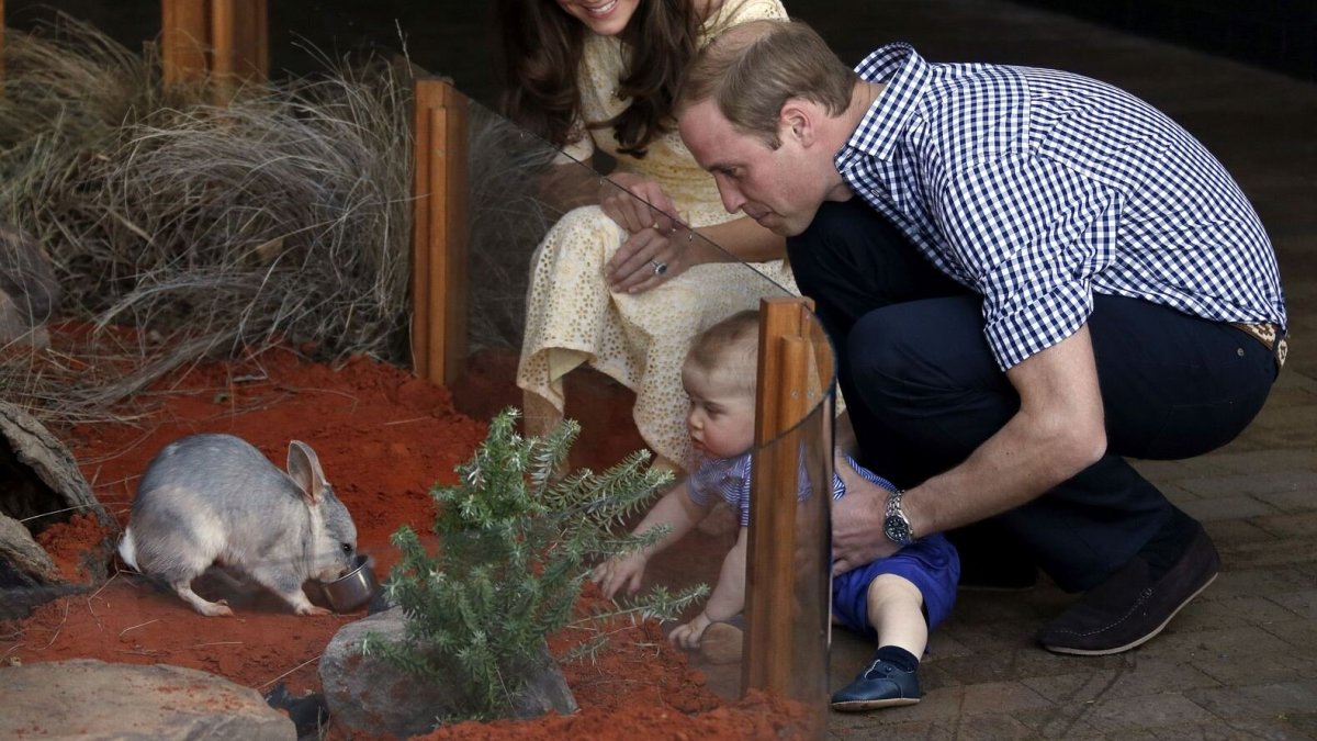 Princas Williamas ir Kembridžo hercogienė Catherine su princu George‘u