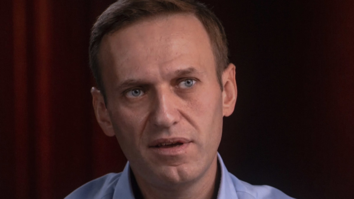 Aleksejus Navalnas / ZUMAPRESS / Scanpix nuotr.