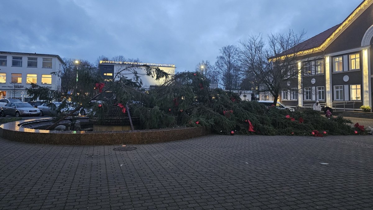 Nulūžo pagrindinė eglė Gargžduose / R.Rapalienės nuotr.