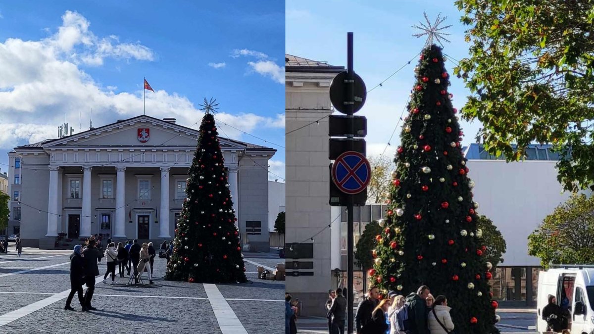 Vilniaus Rotušės aikštėje išdygo Kalėdų eglė – bus filmuojama reklama / Žmonės.lt nuotr.