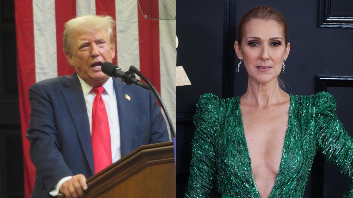 Donaldas Trumpas, Celine Dion / Vida Press nuotr.