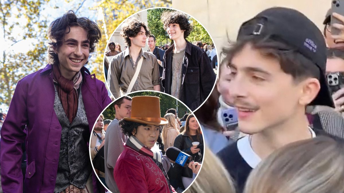 Timothee Chalamet antrininkų konkursas / Vida Press ir Scanpix nuotr.