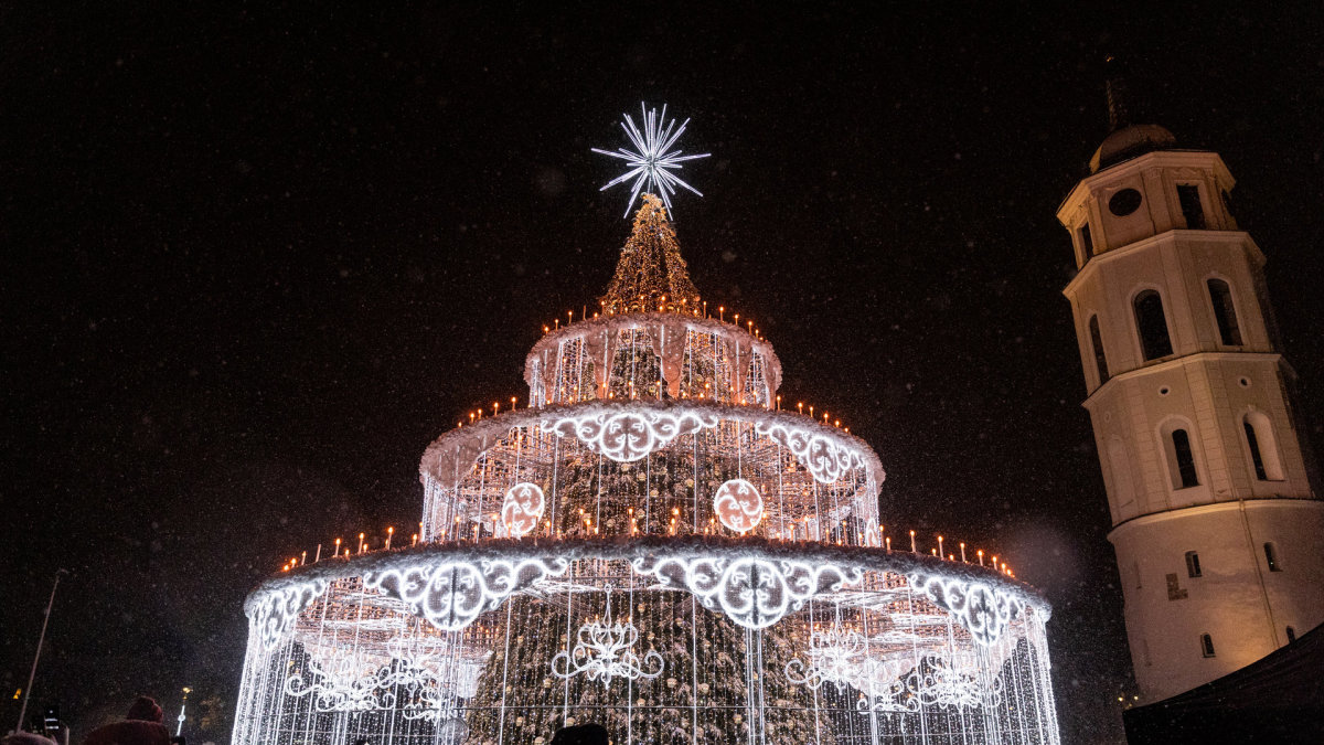 Vilniaus Katedros aikštėje įžiebta Kalėdų eglė / Pauliaus Peleckio / BNS nuotr.
