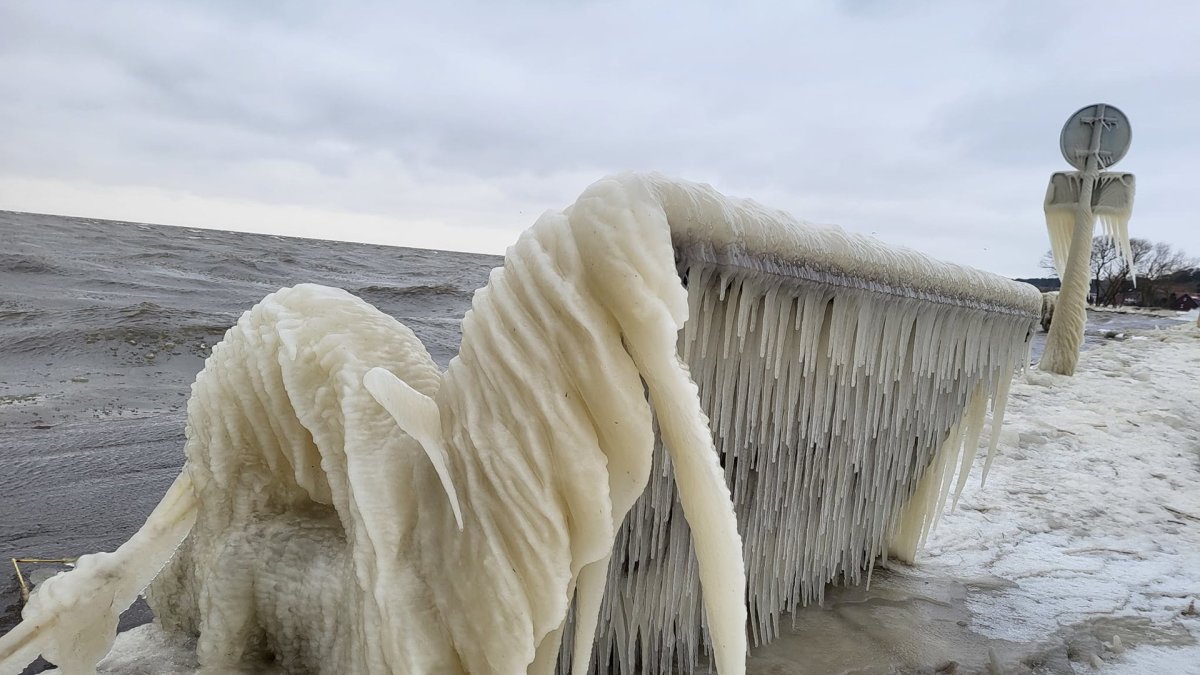 Ledo skulptūros Kuršių nerijoje / Aušros Mikalauskienės nuotr.