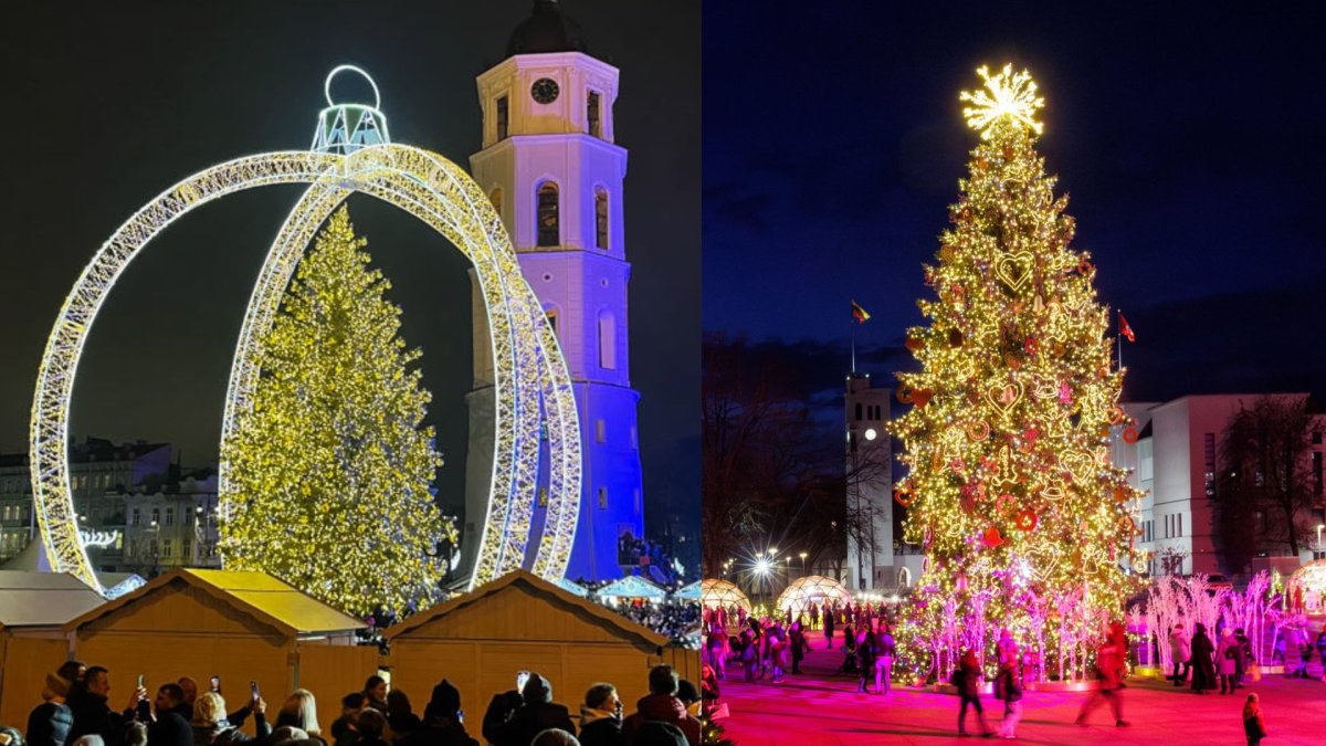 Vilniaus ir Kauno Kalėdų eglės