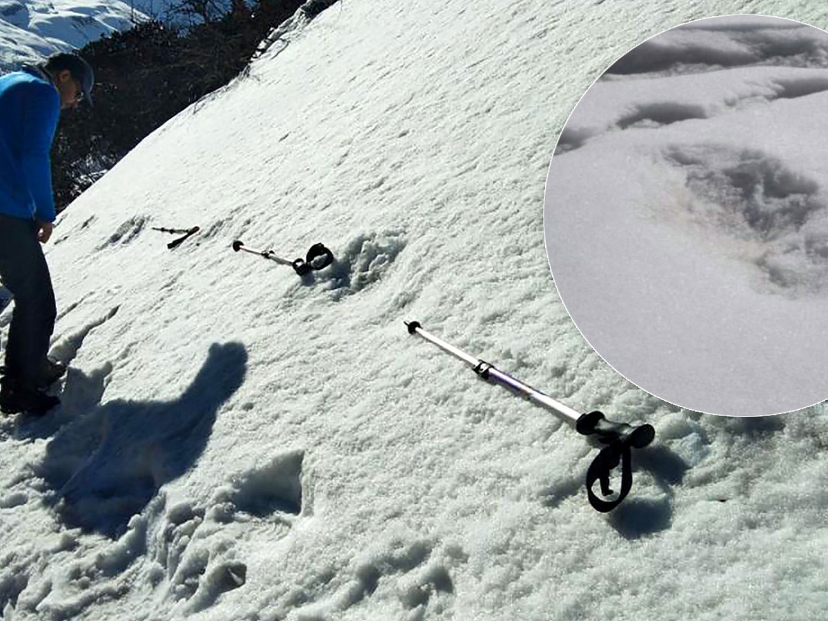 Sniego Zmogaus Pėdsakai Mistinius Pėdsakus Aptikusi Indijos Kariuomenė Sako Kad Jie Priklauso Butybei Yeti Video Deuce Lt