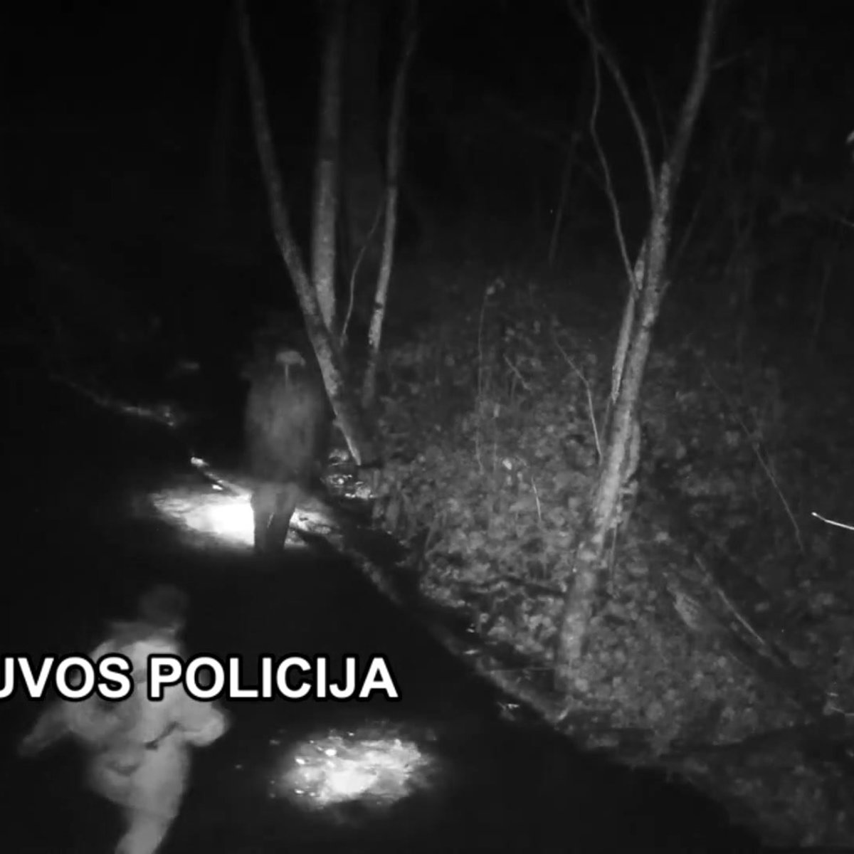 Policija Suciupo Brakonierius Draustinyje Sugautos Lasisinės Zuvys Atsieis Brangiai Video Deuce Lt