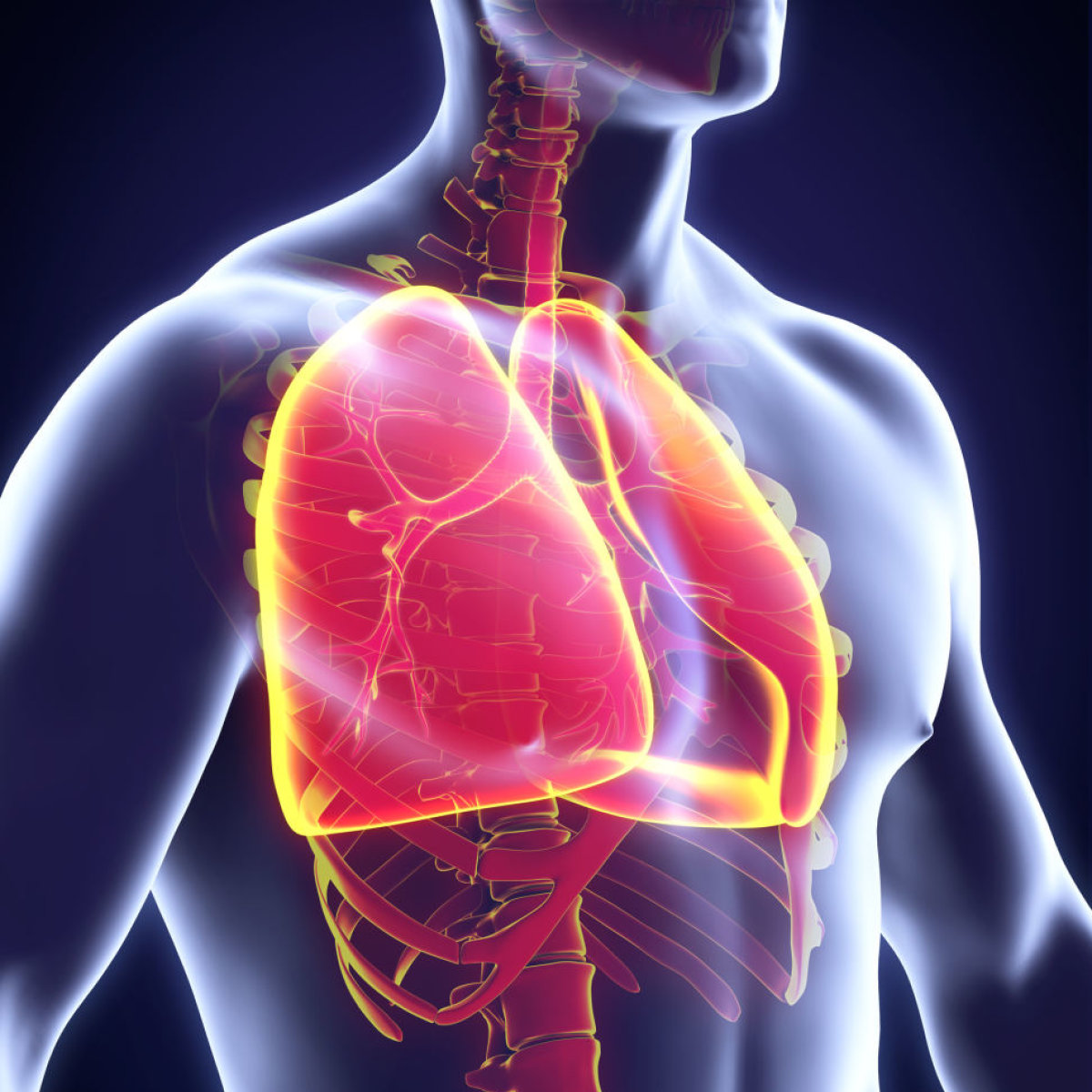 Thermal span Bud Tuberkuliozė – liga, nuo kurios neapsaugotas niekas | Gyvenimas | 15min.lt