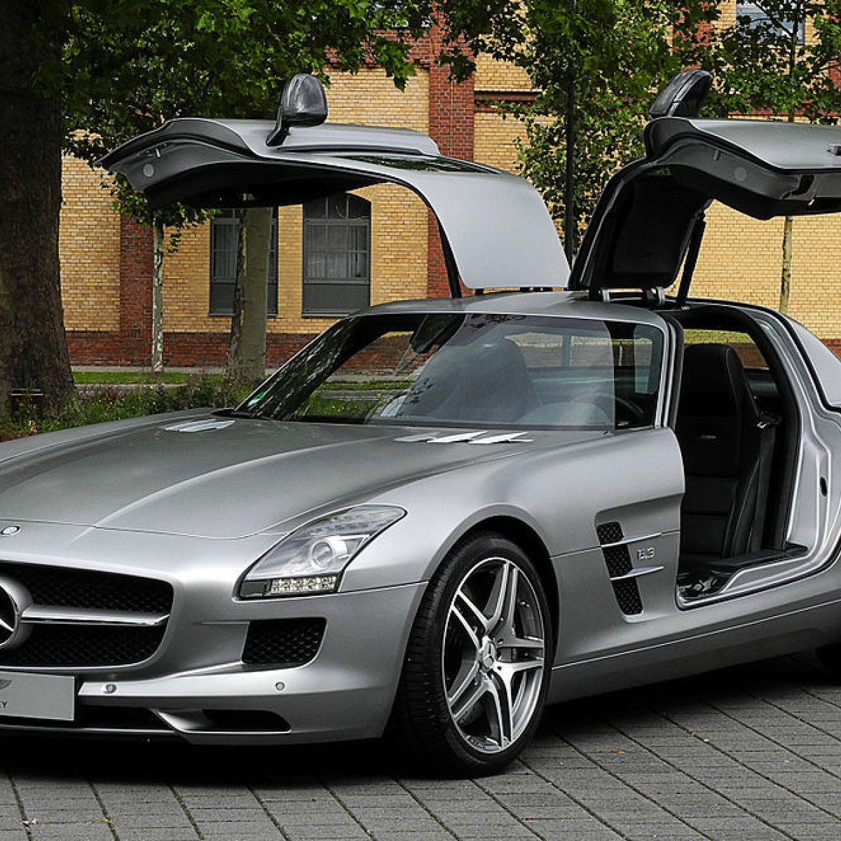 Isskirtinės Automobilių Detalės 2 Gullwing Tipo Durelės Gazas Lt