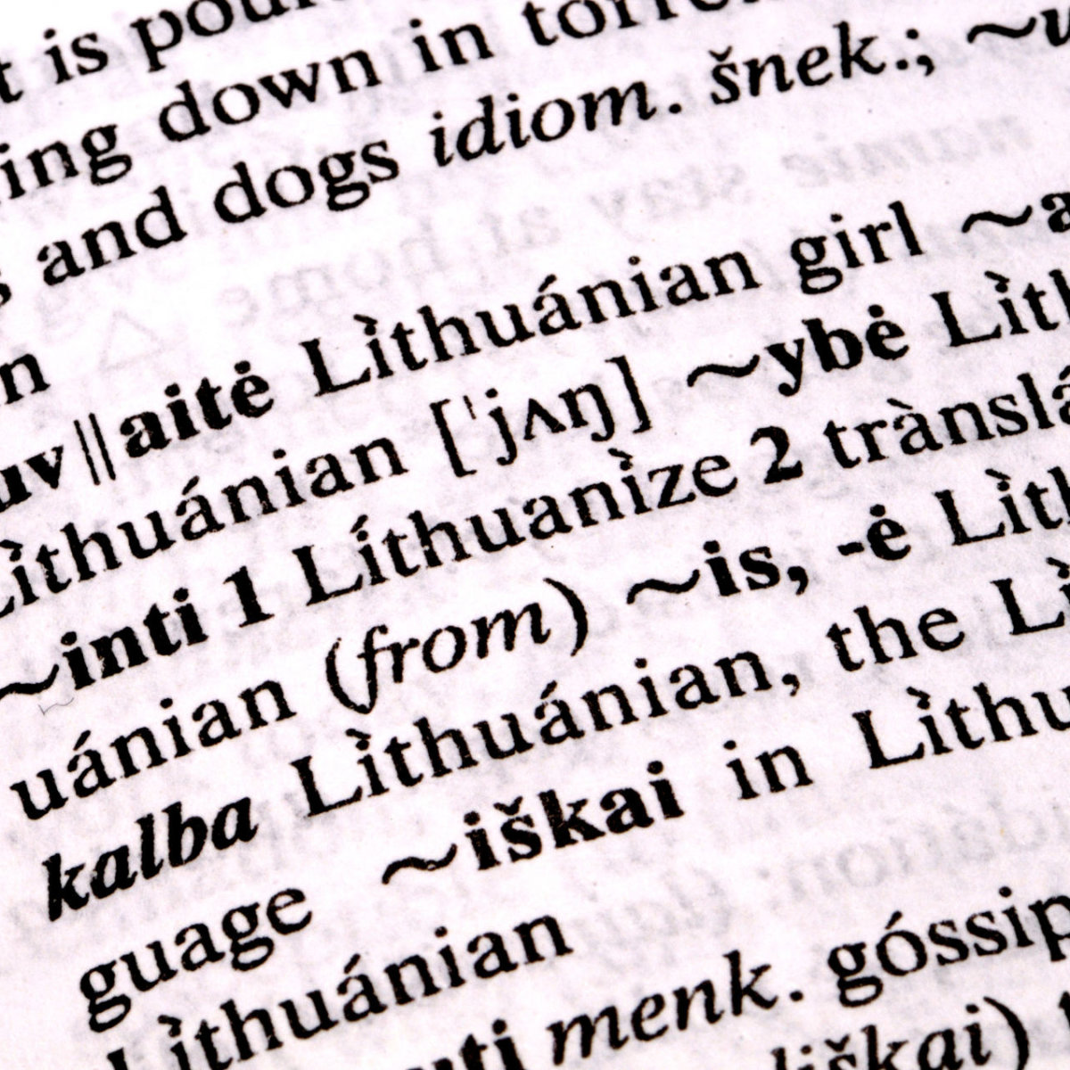 paaiškino, kodėl sunku išmokti lietuvių kalbą | Verslas | 15min.lt