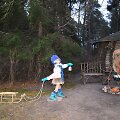 Palangos Birutės parke lankytojai sutiks Girinį.