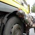 Prie&scaron; nelegalią migraciją nukreipta operacija &bdquo;Žara&ldquo;