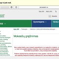 Netikro VMI puslapio vaizdas