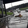 Vilniečiai per liūtį susigalvojo pramogą