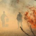 Portugalija / PATRICIA DE MELO MOREIRA / AFP
