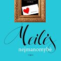 Hannah Rothschild &bdquo;Meilės neįmanomybė&ldquo;