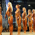 Vilniaus sporto festivalis