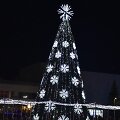 Marijampolėje įžiebta eglė