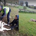 Žygeiviai su dviračiais i&scaron;gelbėjo tvoroje įsipainiojusį danielių