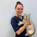 Mitais apipinta augintinių anestezija: veterinarijos gydytoja pasakoja apie jos poveikį ir svarbą