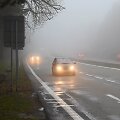 Rudeni&scaron;ki orai, rūkas