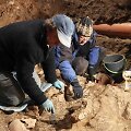LNM archeologai (i&scaron; kairės G.Grižas, V.Steponaitis, G.Petrauskas)