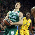 Robertas Javtokas