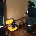Klaipėdoje policijos pareigūnai su &scaron;unimi tikrino vieną profesinę mokyklą ir bendrabutį.