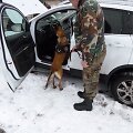 2013 m. laidos &bdquo;Ford Kuga&ldquo; nuo lapkričio 29 d. yra ie&scaron;komas Vokietijos policijos.