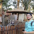 Nuotrauka i&scaron; Egipto zoologijos sodo