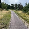 &bdquo;YIT Lietuva&ldquo; rekonstruos pagrindinį Kur&scaron;ių nerijos dviračių taką 