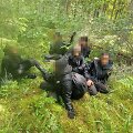 Vokiečių aviganis Grau Latvijoje sugavo dar 6 i&scaron; Baltarusijos įsibrovusius migrantus