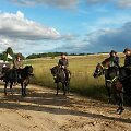 Baigėsi 37 dienas trukęs žemaitukų žygis apie Lietuvą