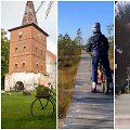 Kelionės Lietuvoje - Rusnė, Mū&scaron;os tyrelio pažintinis takas, Roki&scaron;kis