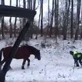 Vienas pareigūnų arklį sugavo ir priri&scaron;o