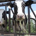 BNS nuotr.