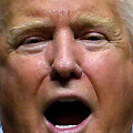 Donaldas Trumpas