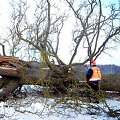 Rajono gyventojai aimanuoja dėl nenuvalytų kelių, tuo tarpu kelininkai užsiima visai kuo kitu &ndash; medžių pjovimu.