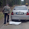 Avarijos vietoje