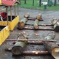 Alytuje prasideda tarptautinis skulptorių ir drožėjų festivalis