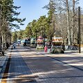 Basanavičiaus gatvėje įsikūrė Margučių alėja