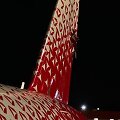&bdquo;Rosija&ldquo; lėktuvas &bdquo;Superjet 100&ldquo; po susidūrimo Maskvos &Scaron;eremetjevo oro uoste