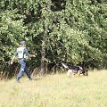 Asociatyvi iliustracija: paie&scaron;ka