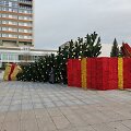 Nuvirto Marijampolės Kalėdų eglė