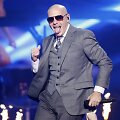 Pitbull